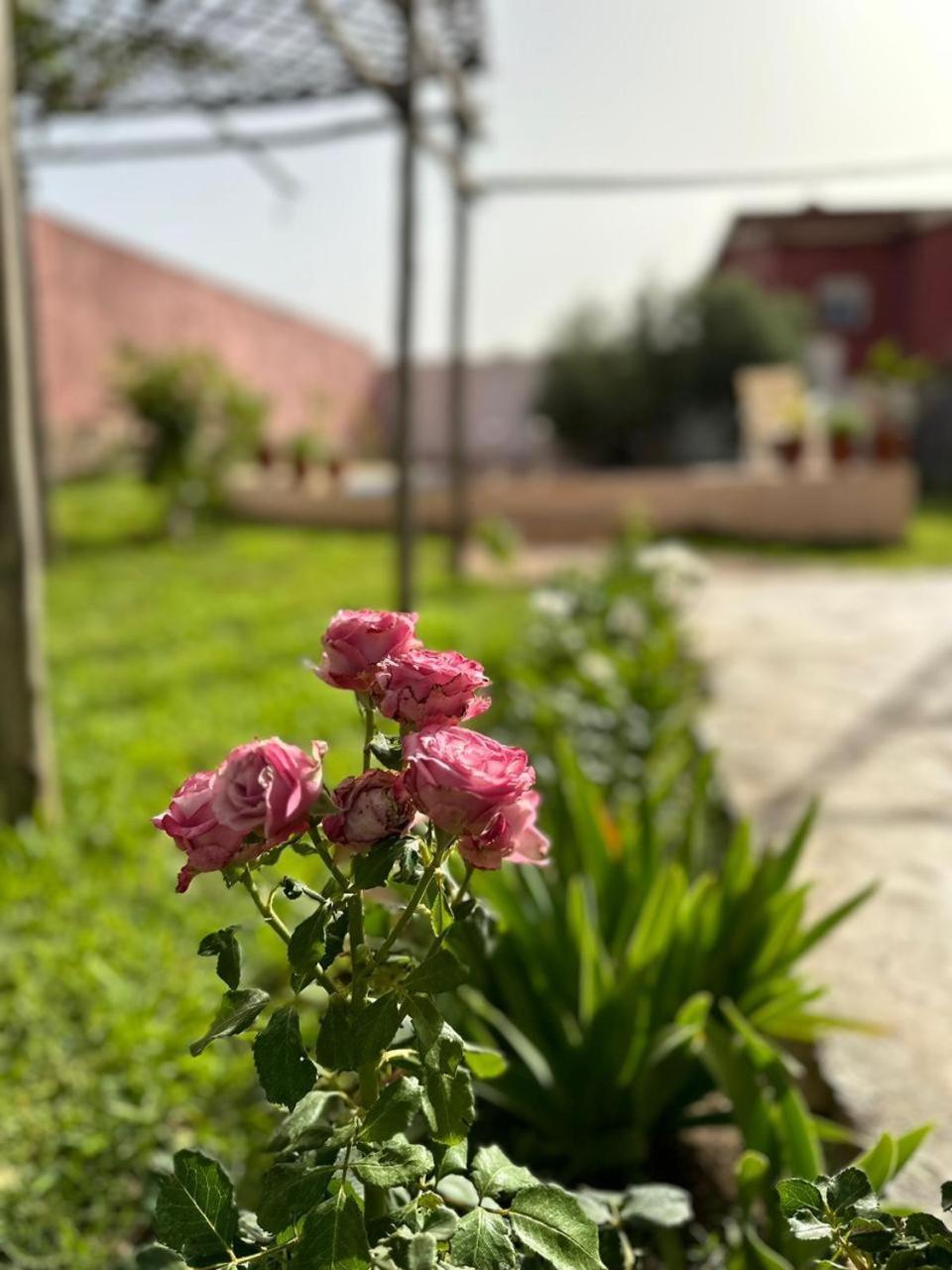 Ferme Khadija Villa Fes Exterior photo